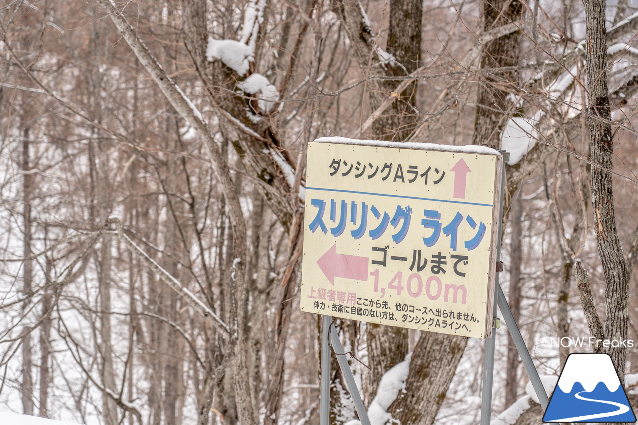 マウントレースイ｜まだまだ大部分が滑走可能！3/27（日）まで、元気に春スキー営業中☆